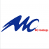 Mizuno Consultancy Holdings Ltd.